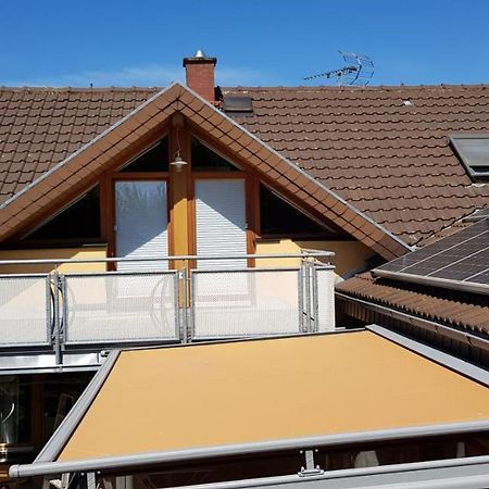 Appartment Sonnenblick Dielheim Εξωτερικό φωτογραφία