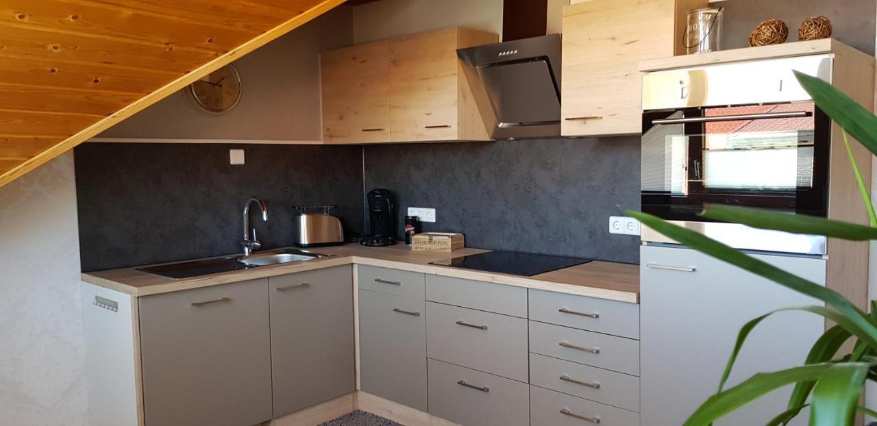 Appartment Sonnenblick Dielheim Εξωτερικό φωτογραφία