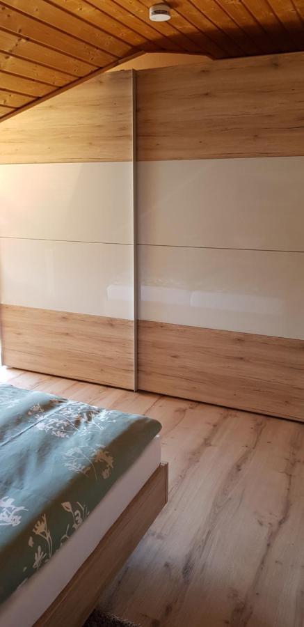 Appartment Sonnenblick Dielheim Εξωτερικό φωτογραφία