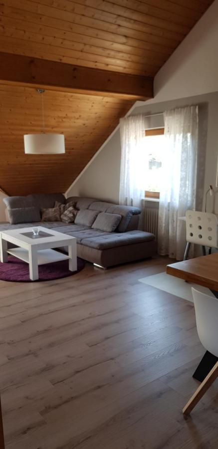 Appartment Sonnenblick Dielheim Εξωτερικό φωτογραφία