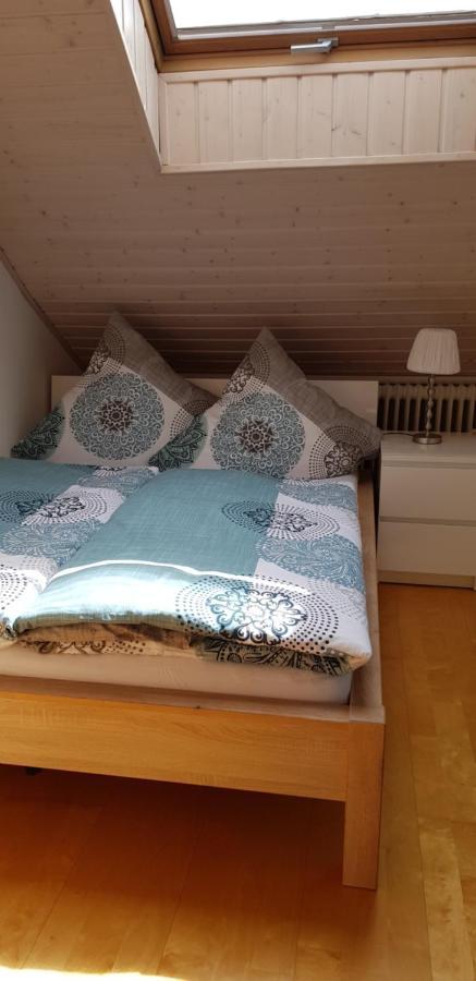 Appartment Sonnenblick Dielheim Εξωτερικό φωτογραφία
