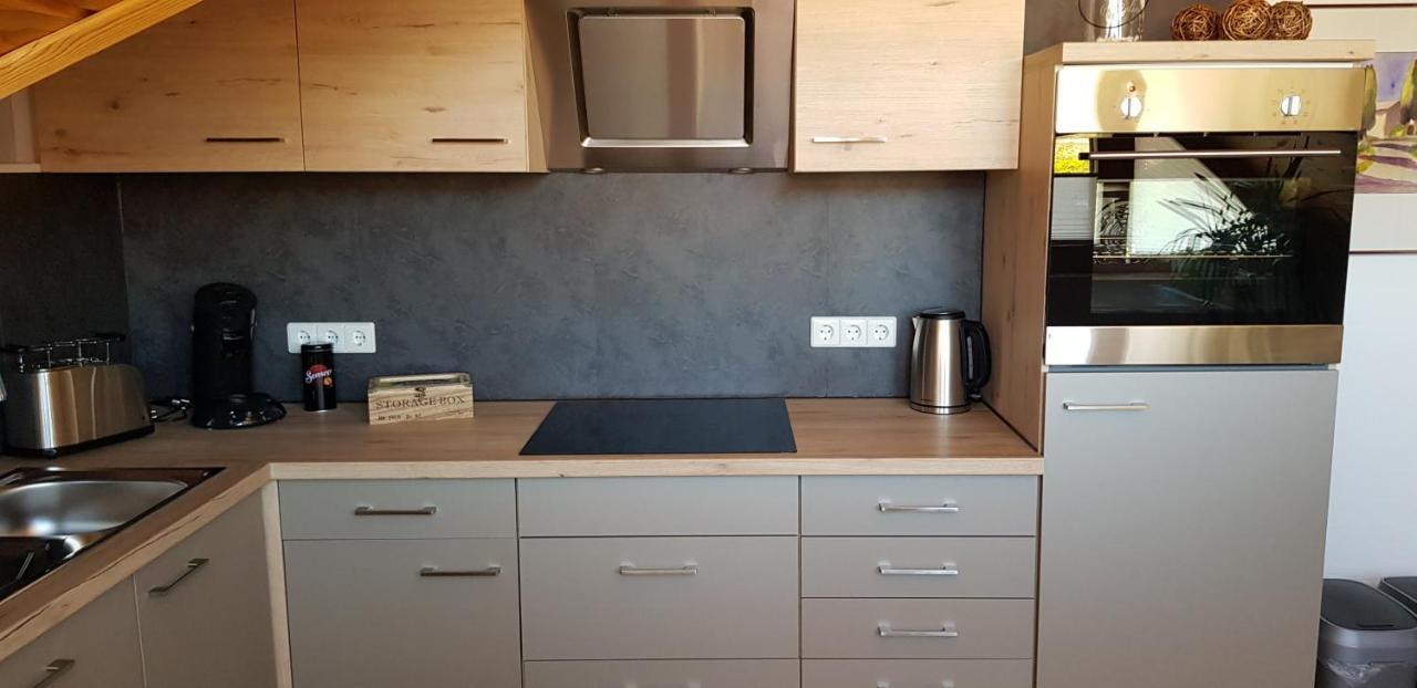 Appartment Sonnenblick Dielheim Εξωτερικό φωτογραφία
